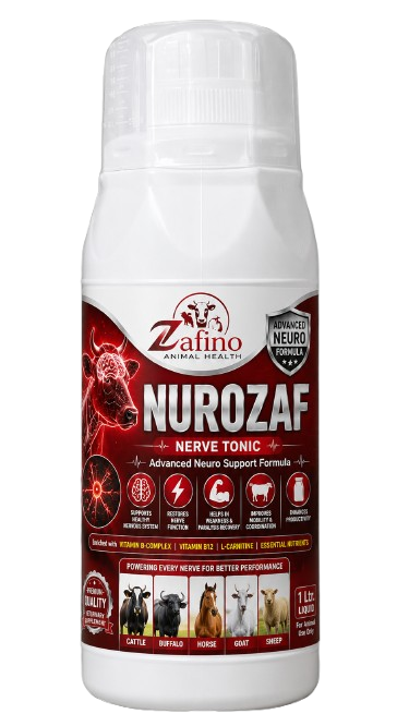 Nurozaf Liquid
