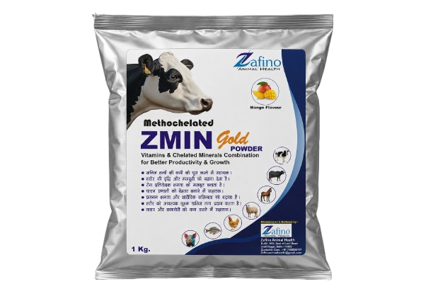 ZMIN Gold Powder